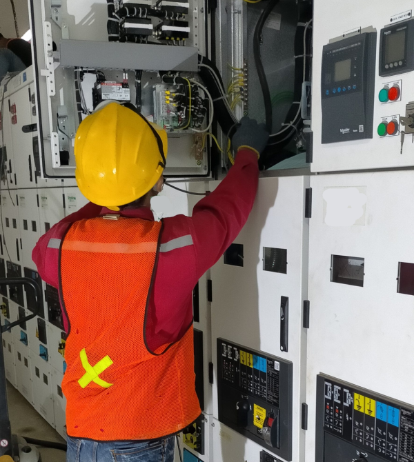 Genesis Electric System About